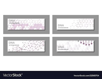 Set of 9 templates for presentation slides vector image