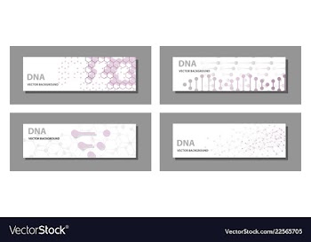 Set of 9 templates for presentation slides vector image