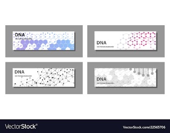 Set of 9 templates for presentation slides vector image