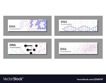 Set of 9 templates for presentation slides vector image