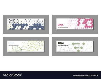 Set of 9 templates for presentation slides vector image
