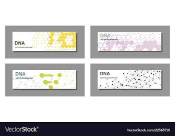 Set of 9 templates for presentation slides vector image