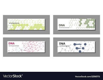 Set of 9 templates for presentation slides vector image