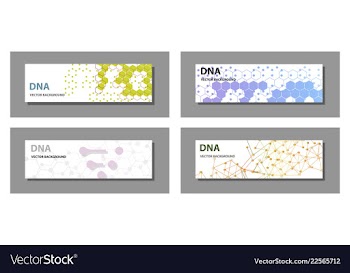 Set of 9 templates for presentation slides vector image