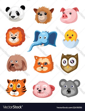 Set of animals on white background vector image