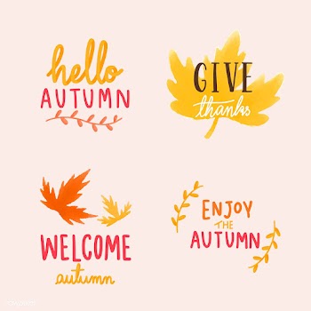 Set of autumn leaves illustration | Free stock vector - 472793