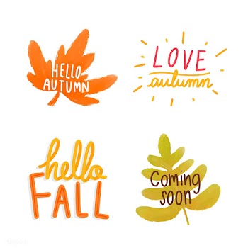 Set of autumn leaves illustration | Free stock vector - 472843