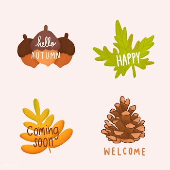 Set of autumn leaves illustration | Free stock vector - 472865
