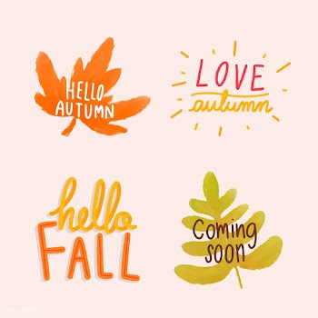 Set of autumn leaves illustration | Free stock vector - 472907