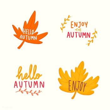 Set of autumn leaves illustration | Free stock vector - 472921