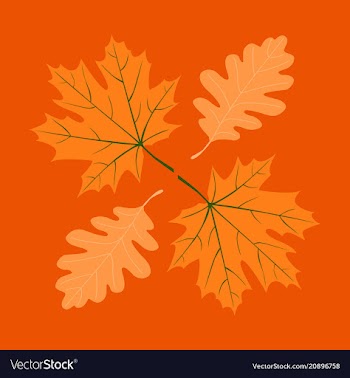 Set of autumn leaves vector image