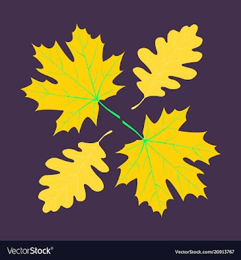 Set of autumn leaves vector image