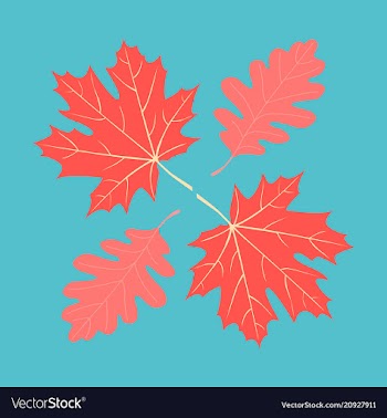 Set of autumn leaves vector image