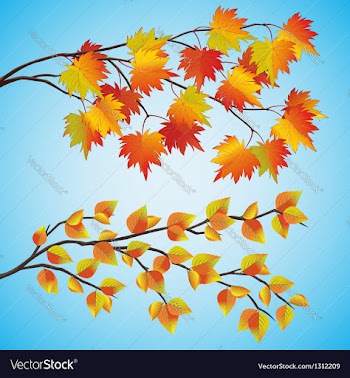  					Set of autumn tree vector image														