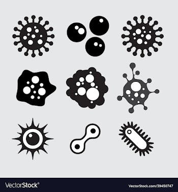 set of bacteria microbes