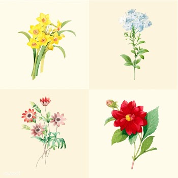 Set of beautiful blooming wildflowers | Free stock vector - 503555