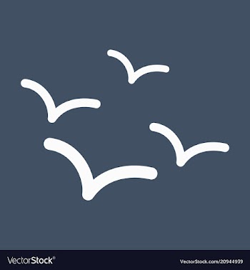 Set of beautiful seagulls in a flat style vector image