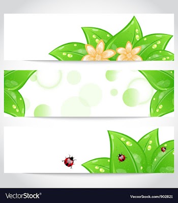  					Set of bio concept design eco friendly banners vector image														