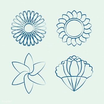 Set of blooming flower drawing design vector | Free stock vector - 494575
