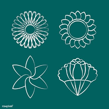 Set of blooming flower drawing design vector | Free stock vector - 494579