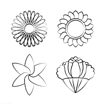 Set of blooming flower drawing design vector | Free stock vector - 494626