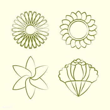 Set of blooming flower drawing design vector | Free stock vector - 494633