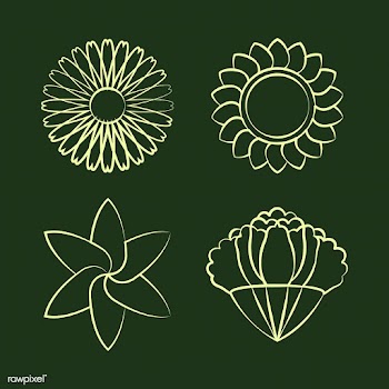 Set of blooming flower drawing design vector | Free stock vector - 494651