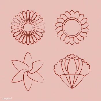 Set of blooming flower drawing design vector | Free stock vector - 494654