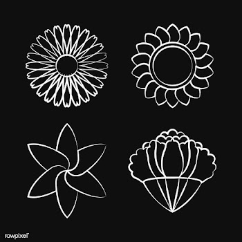 Set of blooming flower drawing design vector | Free stock vector - 494673