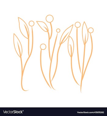set of blossom flowers hand drawn silhouette