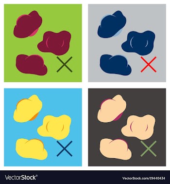 Set of boiled meat dumplings dough khinkali vector image