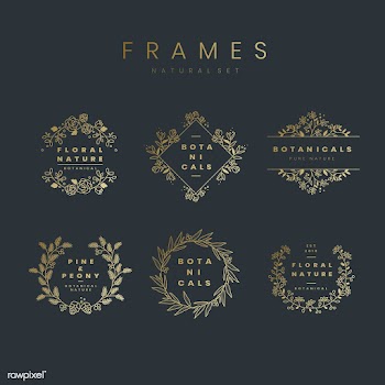 Set of botanical frame design elements vector | Free stock vector - 523496