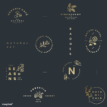 Set of botanical logo design vectors | Free stock vector - 523433