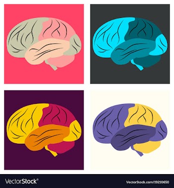 Set of brain in flat monochrome color on white vector image