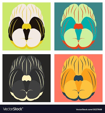 Set of brain in flat monochrome color on white vector image