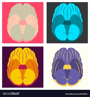 Set of brain in flat monochrome color on white vector image
