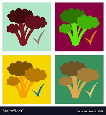 Set of broccoli flat isolated on background vector image