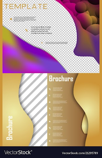 Set of brochure cover brochure with color vector image
