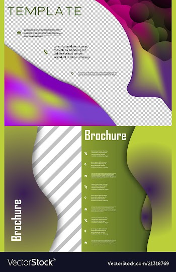 Set of brochure cover brochure with color vector image