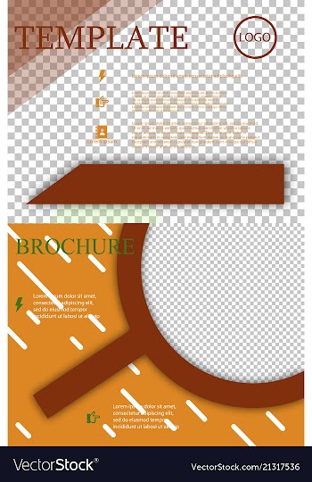 Set of brochure design brochure template creative vector image