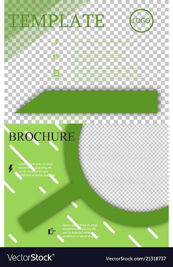 Set of brochure design brochure template creative vector image