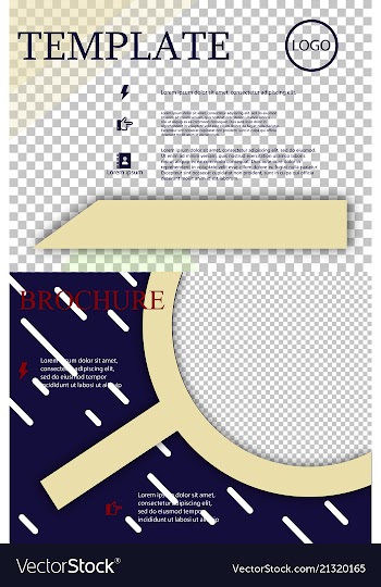 Set of brochure design brochure template creative vector image