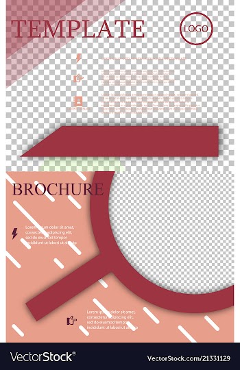 Set of brochure design brochure template creative vector image