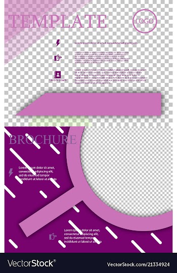 Set of brochure design brochure template creative vector image