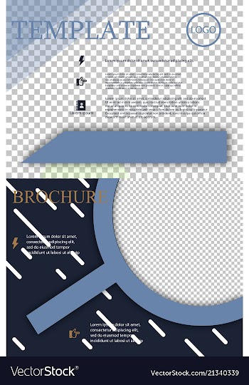 Set of brochure design brochure template creative vector image