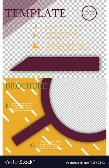 Set of brochure design brochure template creative vector image