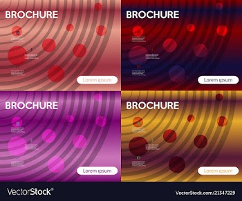 Set of brochure design brochure template creative vector image