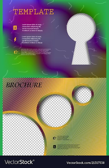 Set of business brochure flyer design layout vector image