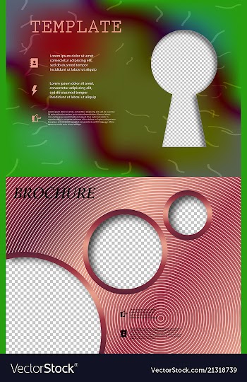 Set of business brochure flyer design layout vector image