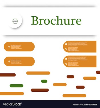 Set of business brochure flyer design layout vector image